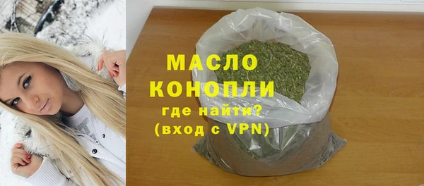 индика Медвежьегорск