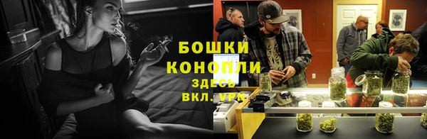 индика Медвежьегорск